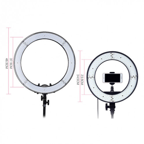 Lampe de poche à DEL avec anneau retardateur pour photographie, prise d'ancrage 12 pouces SH005487-014