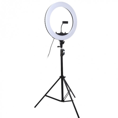 Lampe de poche à retardateur à DEL avec anneau de retardateur pour photographie, prise d'ancrage 18 pouces, sans support SH0056207-010