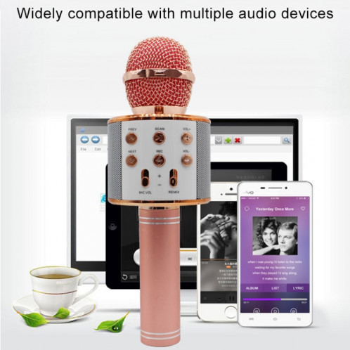 WS-858 Métal Haute Qualité Sonore KTV Karaoke Enregistrement Bluetooth Sans  Fil Microphone, pour Ordinateur Portable, PC, Haut-Parleur, Casque, iPad,  iPhone, Galaxy, Huawei, Xiaomi, LG, HTC et autres Smart Phones