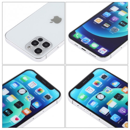 Écran couleur faux modèle d'affichage factice non fonctionnel pour iPhone 12 Pro Max (6,7 pouces) (argent) SH421W854-06