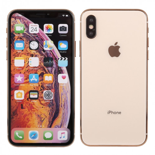 Modèle d'affichage factice factice d'écran non-couleur pour iPhone XS (or) SH701J1401-06