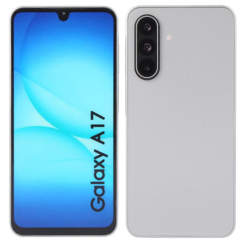 Écran couleur factice pour Samsung Galaxy A17 (gris) SH781H897-07