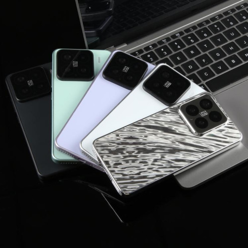 Pour Xiaomi 15 Écran noir Faux modèle d'affichage factice non fonctionnel (noir) SH818B510-07