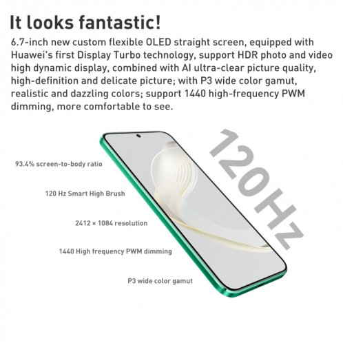 HUAWEI nova 11 FOA-AL00, caméra frontale 60MP, 256 Go, version chinoise, Caméras arrière doubles, identification des empreintes digitales à l'écran, 6,7 pouces HarmonyOS Qualcomm Snapdragon 778G 4G Octa Core SH454G1203-010