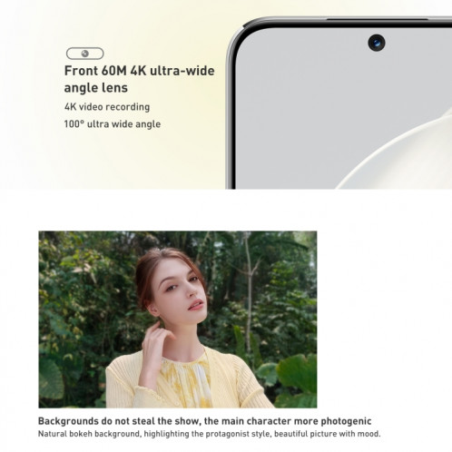 HUAWEI nova 11 FOA-AL00, caméra frontale 60MP, 256 Go, version chinoise, Caméras arrière doubles, identification des empreintes digitales à l'écran, 6,7 pouces HarmonyOS Qualcomm Snapdragon 778G 4G Octa Core SH454G1203-010