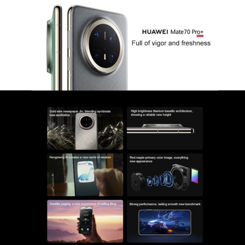 HUAWEI Mate 70 Pro+, 16 Go + 512 Go, Harmony AI, identification des empreintes digitales 3D du visage et des côtés, 6,9 pouces HarmonyOS 4.3, NFC, OTG, ne prend pas en charge Google Play (gris) SH644H1003-018