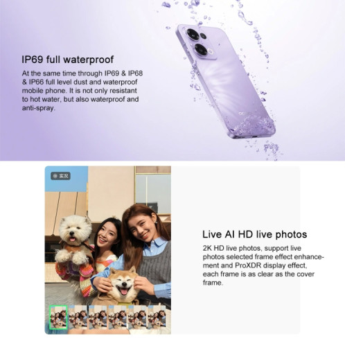 Téléphone OPPO Reno13 AI, 12 Go + 256 Go, écran empreinte digitale, 6,59 pouces ColorOS 15.0 Dimensity 8350 Octa Core, NFC, OTG, réseau : 5G (noir) SO659B337-018