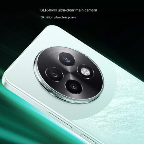 Realme 13 Pro, 12 Go + 256 Go, identification par empreinte digitale sur l'écran, 6,67 pouces Realme UI 5.0 Dimensity 7300 Octa Core, NFC, réseau : 5G (vert) SR672G266-014