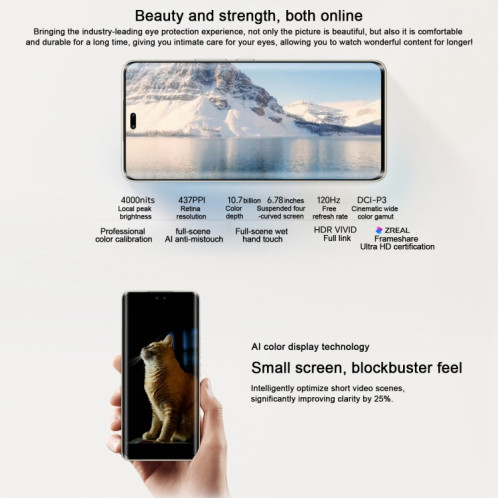 Honor 300 Pro, 12 Go + 256 Go, écran empreinte digitale, 6,78 pouces MagicOS 9.0 / Android 15 Snapdragon 8 Gen 3 Octa Core, réseau : 5G, NFC, OTG, ne prend pas en charge Google Play (vert) SH702G517-013