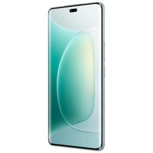 Honor 300 Pro, 16 Go + 512 Go, écran empreinte digitale, 6,78 pouces MagicOS 9.0 / Android 15 Snapdragon 8 Gen 3 Octa Core, réseau : 5G, NFC, OTG, ne prend pas en charge Google Play (vert) SH704G325-016