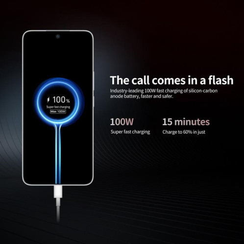 Honor GT, 16 Go + 256 Go, lecteur d'empreintes digitales à l'écran, 6,7 pouces MagicOS 9.0 Android 15.0 Snapdragon 8 Gen 3 Octa Core, réseau : 5G, OTG, NFC (noir) SH722B772-016