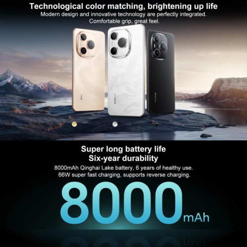 Honor Power, 12 Go + 256 Go, écran 6,78 pouces, MagicOS 9.0, Snapdragon 7 Gen 3 Octa Core, réseau 5G, NFC, OTG (noir) SH906B1634-010