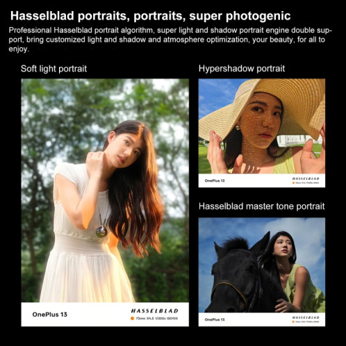 OnePlus 13 PJZ110, 24 Go + 1 To, identification par empreinte digitale sur l'écran, 6,82 pouces ColorOS 15.0 / Android 15 Snapdragon 8 Elite 3 nm Octa Core, NFC, réseau : 5G (blanc) SO958W27-020