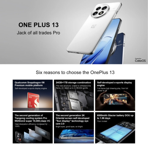 OnePlus 13 PJZ110, 24 Go + 1 To, identification par empreinte digitale sur l'écran, 6,82 pouces ColorOS 15.0 / Android 15 Snapdragon 8 Elite 3 nm Octa Core, NFC, réseau : 5G (bleu) SO958L1706-020