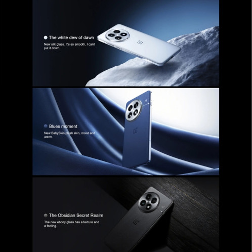 OnePlus 13 PJZ110, 24 Go + 1 To, identification par empreinte digitale sur l'écran, 6,82 pouces ColorOS 15.0 / Android 15 Snapdragon 8 Elite 3 nm Octa Core, NFC, réseau : 5G (noir) SO958B1653-020