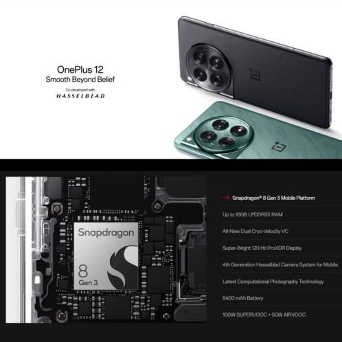  OnePlus 12 5G EU avec chargeur, 16 Go + 512 Go, lecteur d'empreintes digitales intégré, écran 6,82 pouces, ColorOS 14.0, Android 14, Qualcomm Snapdragon 8 Gen 3 Octa Core, NFC, réseau 5G (vert) SO435B1875-015