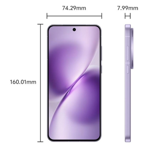 Vivo X200s, 12 Go + 512 Go, reconnaissance faciale / reconnaissance d'empreintes digitales 3D par ultrasons, écran 6,67 pouces, processeur Octa Core OriginOS 5 / Android 15 Dimensity 9400+, OTG, NFC, réseau 5G, SV24LZ1467-014