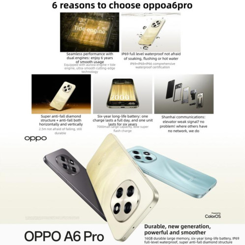 OPPO A6 Pro 5G, 16 Go + 256 Go, écran 6,57 pouces, processeur ColorOS 15, Android 15, Dimensity 7300 Octa Core, NFC, OTG, réseau 5G (noir) SO249B320-021