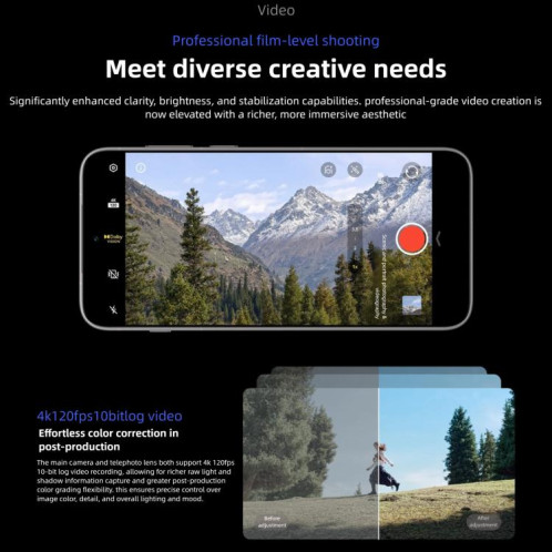 Vivo X300 Pro, 16 Go + 512 Go, 6,78 pouces, OriginOS 6, Android 16, Dimensity 9500, Octa Core, OTG, NFC, réseau 5G (noir) SV447B328-016