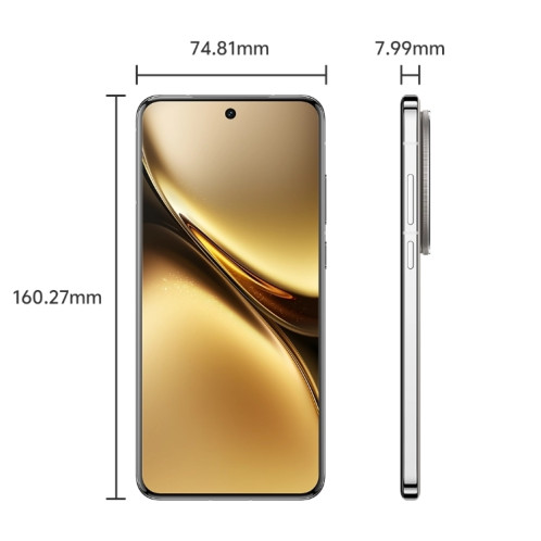 vivo X200, 16 Go + 512 Go, Face ID / Identification par empreinte digitale à l'écran, 6,67 pouces Android 15 Dimensity 9400 Octa Core, OTG, NFC, Réseau : 5G, Prise en charge de Google Play (couleur titane) SV03TC935-010