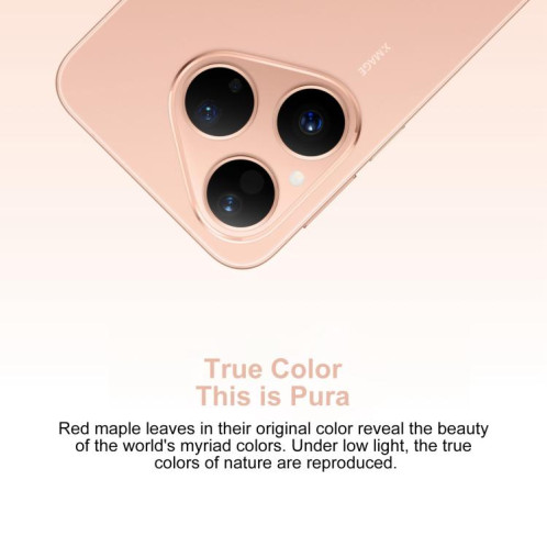 HUAWEI Pura 80, 12 Go + 256 Go, reconnaissance d'empreintes digitales latérale, écran 6,6 pouces, HarmonyOS 5.1, NFC, OTG, non compatible avec Google Play (blanc) SH446W4-018
