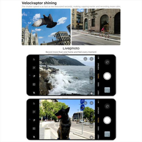 Realme Neo7 Turbo, 16 Go + 256 Go, 6,8 pouces, Android 15 / Realme UI 6.0, MediaTek Dimensity 9400e Octa Core, NFC, réseau 5G, compatible Google Play (gris) SR478H1091-027