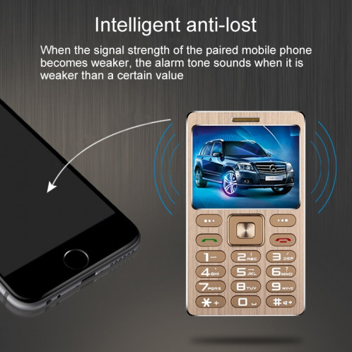 SATREND A10 Carte Téléphone portable, 1,77 pouces, MTK6261D, 21 touches, Bluetooth de soutien, MP3, Anti-perte, Capture à distance, FM, GSM, Dual SIM (Gold) SS532J12-012