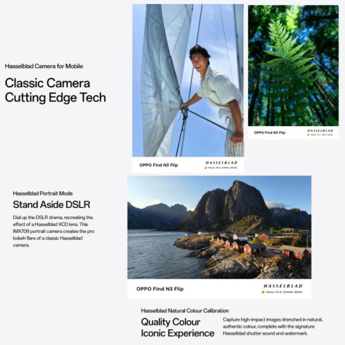 OPPO Find N3 Flip AI, 12 Go + 256 Go, Face ID et identification d'empreintes digitales latérales, écran 6,8 pouces + 3,26 pouces ColorOS 13.2 Dimensity 9200 Octa Core, réseau : 5G (noir) SO817B1505-019