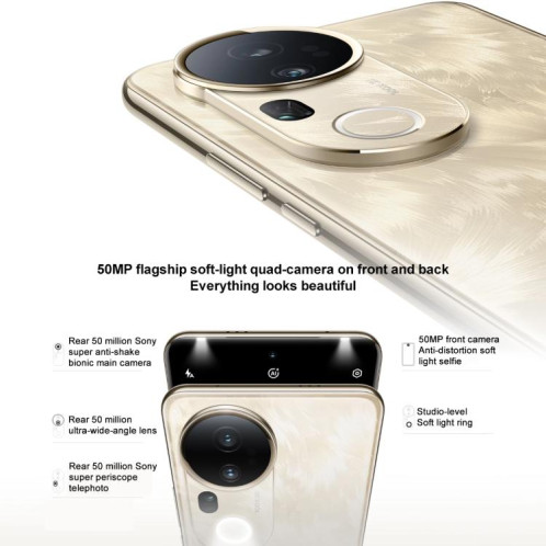 vivo S20 Pro, 12 Go + 512 Go, Face ID / Identification par empreinte digitale à l'écran, 6,67 pouces Android 15 Dimensity 9300+ Octa Core, OTG, NFC, Réseau : 5G (Or) SV844J1264-016