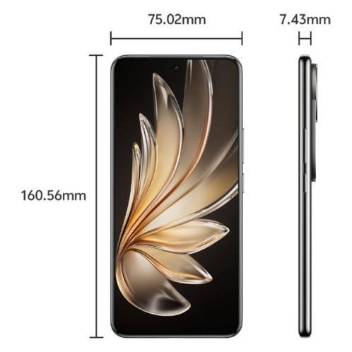 vivo S20 Pro, 16 Go + 512 Go, Face ID / Identification d'empreintes digitales à l'écran, 6,67 pouces Android 15 Dimensity 9300+ Octa Core, OTG, NFC, Réseau : 5G (Noir) SV845B111-016