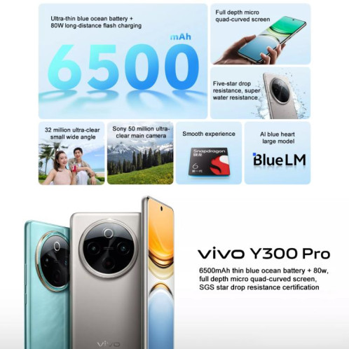 vivo Y300 Pro, 12 Go + 256 Go, Face ID / Identification par empreinte digitale à l'écran, 6,77 pouces Android 14 OriginOS 4 Snapdragon 6 Gen 1 Octa Core, OTG, Réseau : 5G (couleur titane) SV52TC1127-012