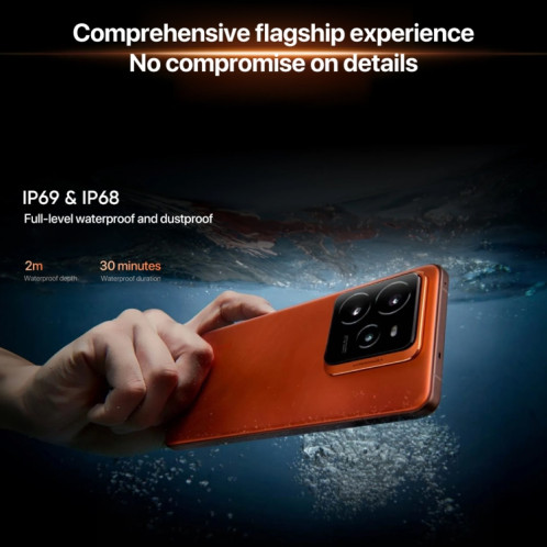 Realme GT7 Pro, 12 Go + 256 Go, 6,78 pouces Android 15 / Realme UI 6.0 Snapdragon 8 Elite Octa Core, NFC, Réseau : 5G, Prise en charge de Google Play (Galaxy Grey) SR40TC1127-025