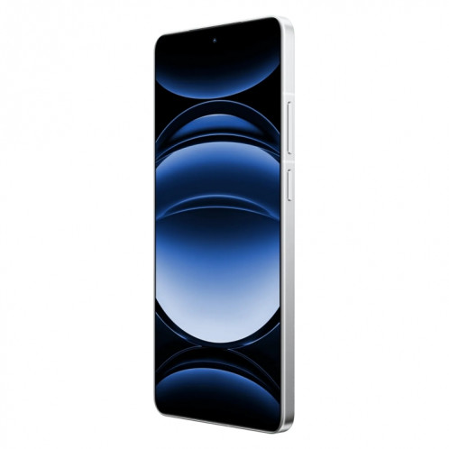 Realme GT6, 16 Go + 256 Go, 6,78 pouces Realme UI 5.0 Snapdragon 8 Gen 3 Octa Core, NFC, réseau : 5G, prise en charge Google Play (blanc) SR591W507-09