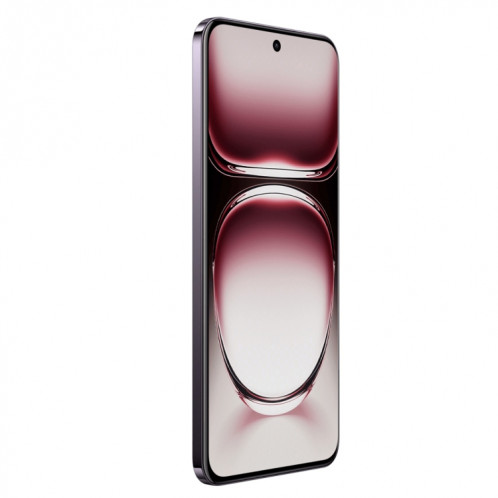Téléphone OPPO Reno12 Pro AI, 16 Go + 256 Go, écran d'empreintes digitales, 6,7 pouces ColorOS 14.1 Dimensity 9200+ Octa Core jusqu'à 3,35 GHz, NFC, OTG, réseau : 5G (noir) SO621B703-014
