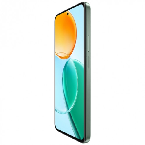 Honor Play9T 5G, 8 Go + 128 Go, 6,77 pouces MagicOS 8.0 Qualcomm Snapdragon 4 Gen2 Octa Core jusqu'à 2,2 GHz, réseau : 5G, OTG, ne prend pas en charge Google Play (vert) SH623G1250-09