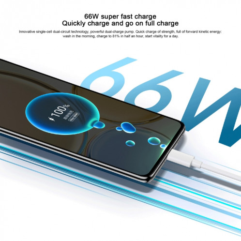 Honor X30 5G ANY-AN00, appareils photo 48MP, 8 Go + 256 Go, version chinoise, Caméras triple arrière, identification d'empreintes digitales latérales, batterie 4800 mAh, 6,81 pouces Magic UI 5.0 Qualcomm Snapdragon SH87AB1393-07