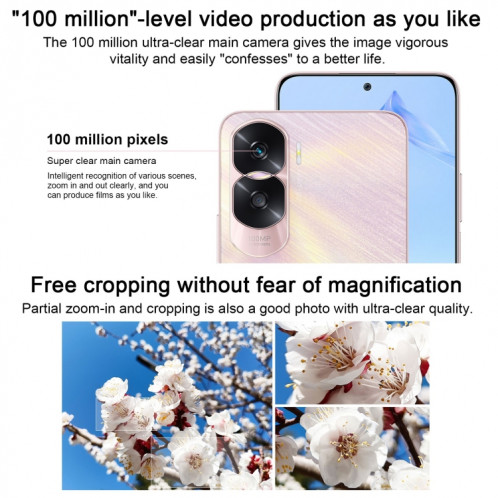 Honor X50i 5G CRT-AN00, caméras 100MP, 12 Go + 256 Go, version chinoise, Caméras arrière doubles, identification d'empreintes digitales latérales, batterie 4500 mAh, 6,7 pouces MagicOS 7.1 / Android 13 Dimensity 6020 SH490B748-011