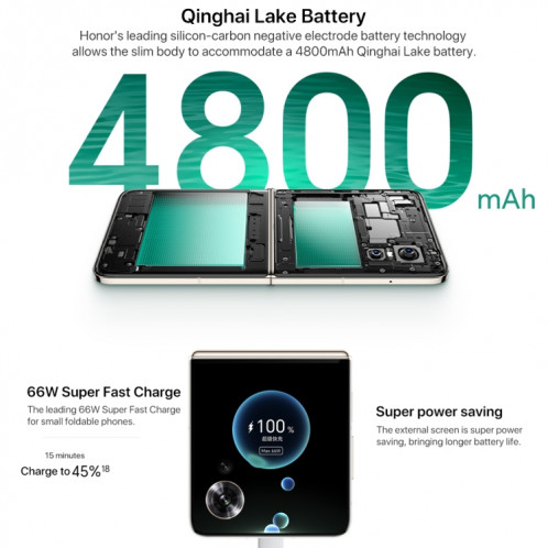 Honor Magic V Flip, 12 Go + 256 Go, écran 6,8 pouces + 4,0 pouces MagicOS 8.0 Snapdragon 8+ Gen 1 Octa Core, réseau : 5G, NFC, OTG (noir) SH921B641-022