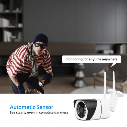 Caméra IP sans fil HD Q29 1080P, prise en charge de la détection de mouvement et de la carte nocturne infrarouge et carte TF, SH62EU1301-07