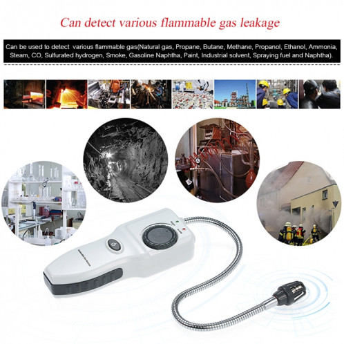Détecteur de gaz combustible portable GM8800B SH1726204-09