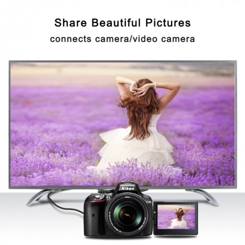 Câble d'adaptateur de connecteur mâle plaqué or positif HDMI de 30 cm 4K HDMI mâle vers micro HDMI SH0392401-05