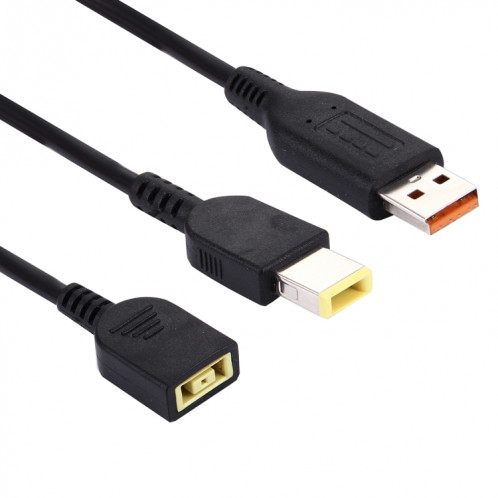 Big Square (Première Génération) Femelle à Lenovo YOGA 3 & Big Square (Première Génération) Interfaces Homme Câble d'Alimentation pour Ordinateur Portable Lenovo, Longueur: environ 30cm SB1186208-03