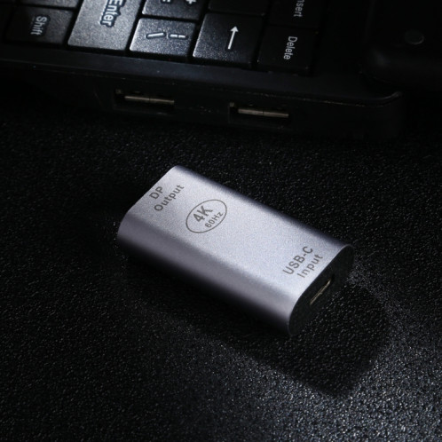 Adaptateur en alliage d'aluminium Type-C / USB-C Femelle vers Big DP Femelle SH1215521-06