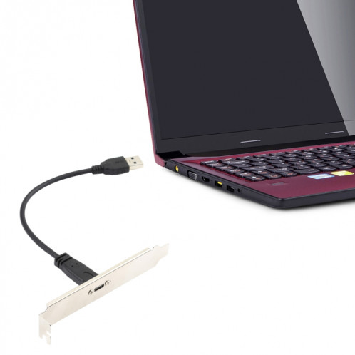 USB-C / Type-C Femme to USB 3.0 Câble de châssis d'extension de l'ordinateur mâle avec déflecteur SH1439216-05