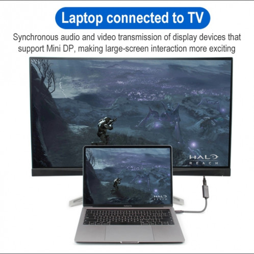 4K 60HZ USB-C / TYPE-C mâle à mini DisplayPort Femme Adapter Câble SH16951833-06