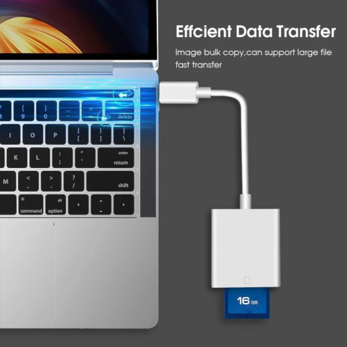 TY105TC USB-C / type-C à l'adaptateur de lecteur de carte SD SH19001988-07
