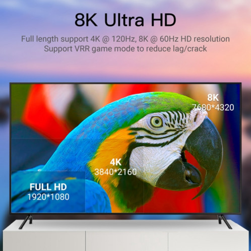 8K 60HZ HDMI 2.1 Adaptateur mâle femelle à mini DP SH1938700-07