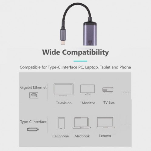 Câble d'adaptateur femelle USB-C / Type-C à 100 m RJ45 SH19441349-07