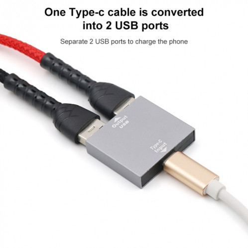 Convertisseur USB-C / Type-C femelle sur USB femelle 1 à 2 SH19871887-07