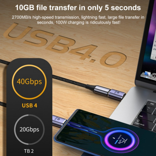 Adaptateur masculin USB-C / Type-C de 40 Gbit / Gbit / s. SH207272-07
